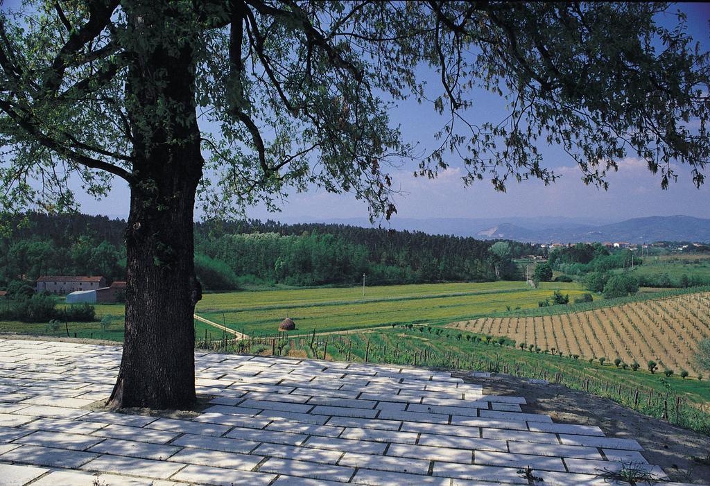 Agriturismo Le Due Querce Lazzeretto Exteriér fotografie